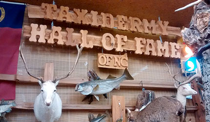 At North Carolina's only Taxidermy Hall of Fame and Creation