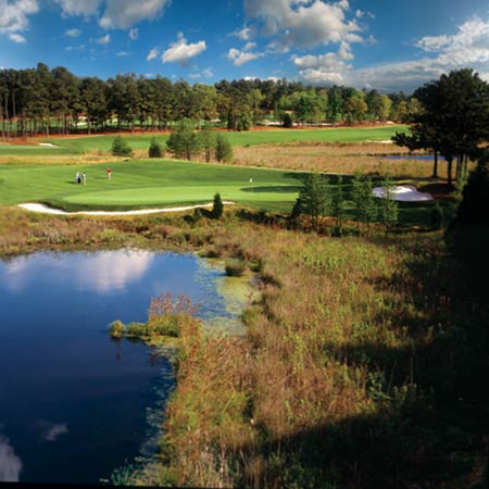 Pinehurst No.8