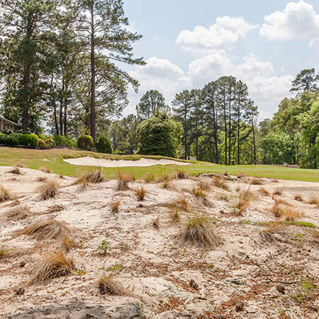 An example of hardpan sand in foreground.