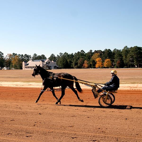 Training at Pinehurst Harness Track