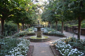 SCC Gardens
