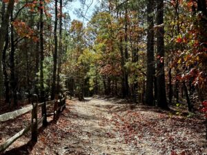 Reservoir Park Southern Pines
