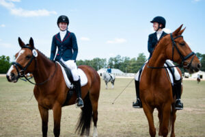 Dressage Horses