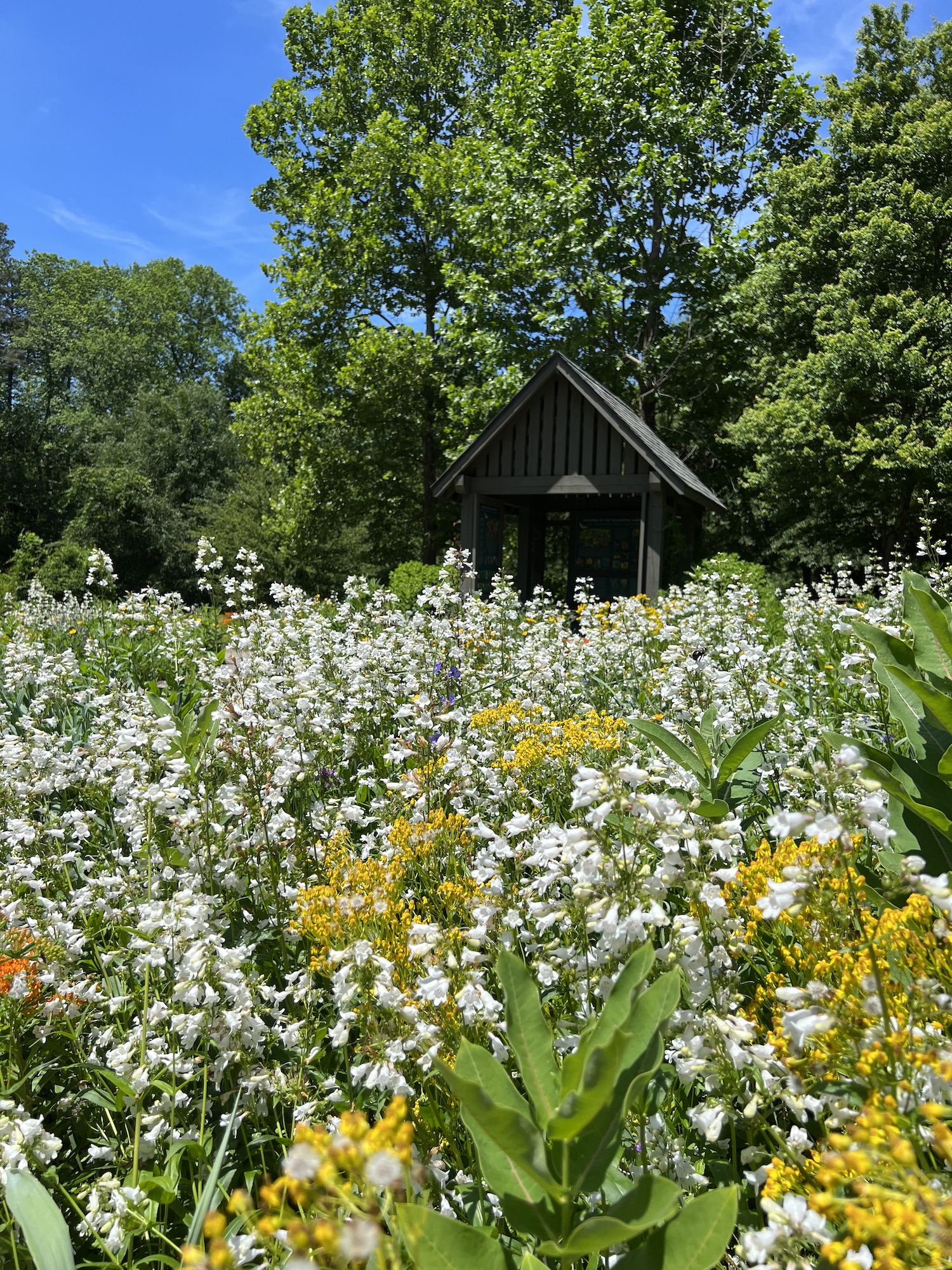 Pinehurst Arboretum