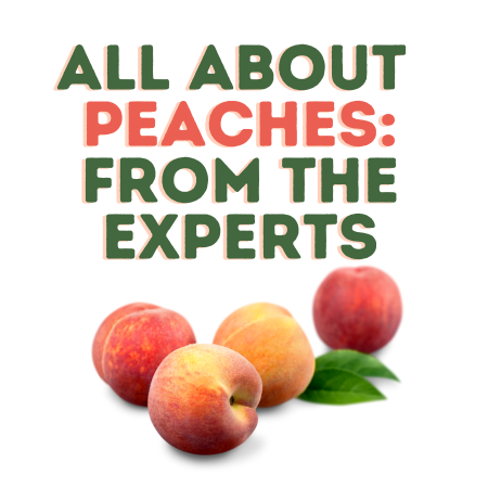 All About Peaches