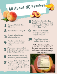 9 Fun Facts About Peaches  Peach Facts – Lane Southern Orchards