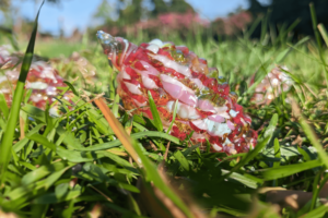 Glass Pinecone