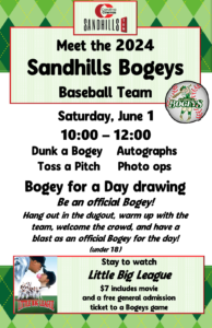 Meet the Bogeys email poster