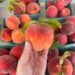 James Creek Cider Peaches Peach Week