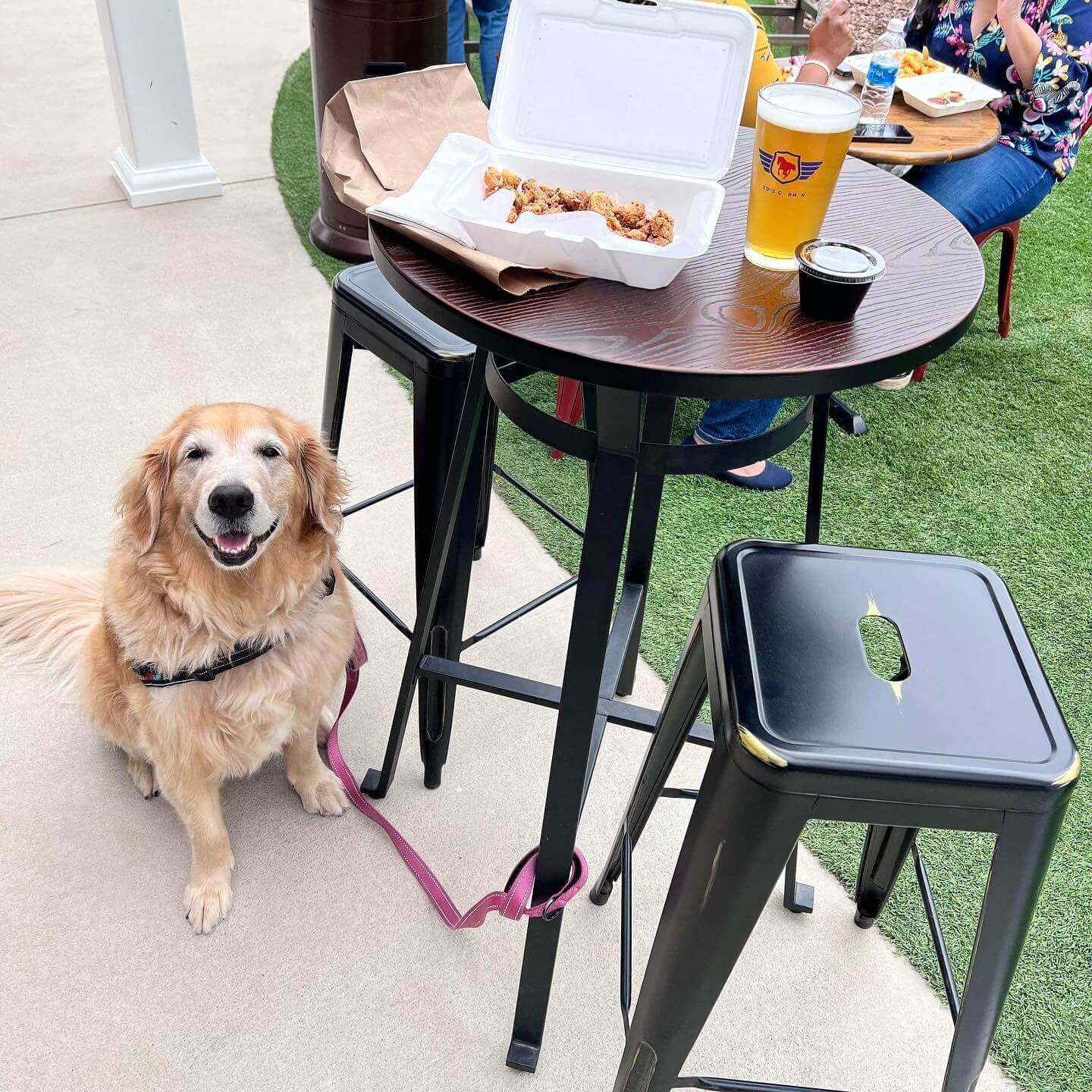 Dog smiling at Reds Corner