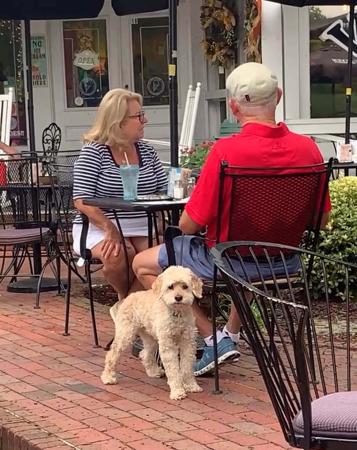 Dog & couple eating at the Villager Deli